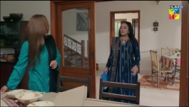 Woh Ziddi Si - Episode 13 - 20th October 2024